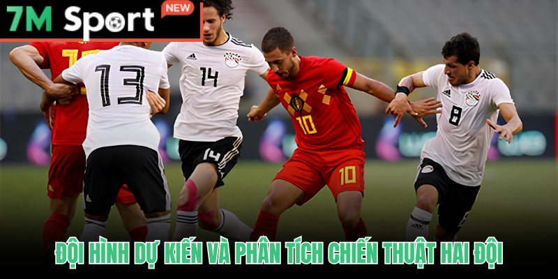 Soi Kèo Bỉ Vs Ai Cập - Nhận Định World Cup 2026 Bảng G 9 Soi kèo Bỉ vs Ai Cập từ đội hình dự kiến và thế trận chiến thuật